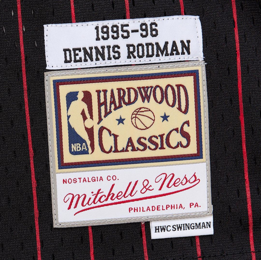 Chicago Bulls Dennis Rodman Youth 1995/96 Swingman Jersey product image 5
