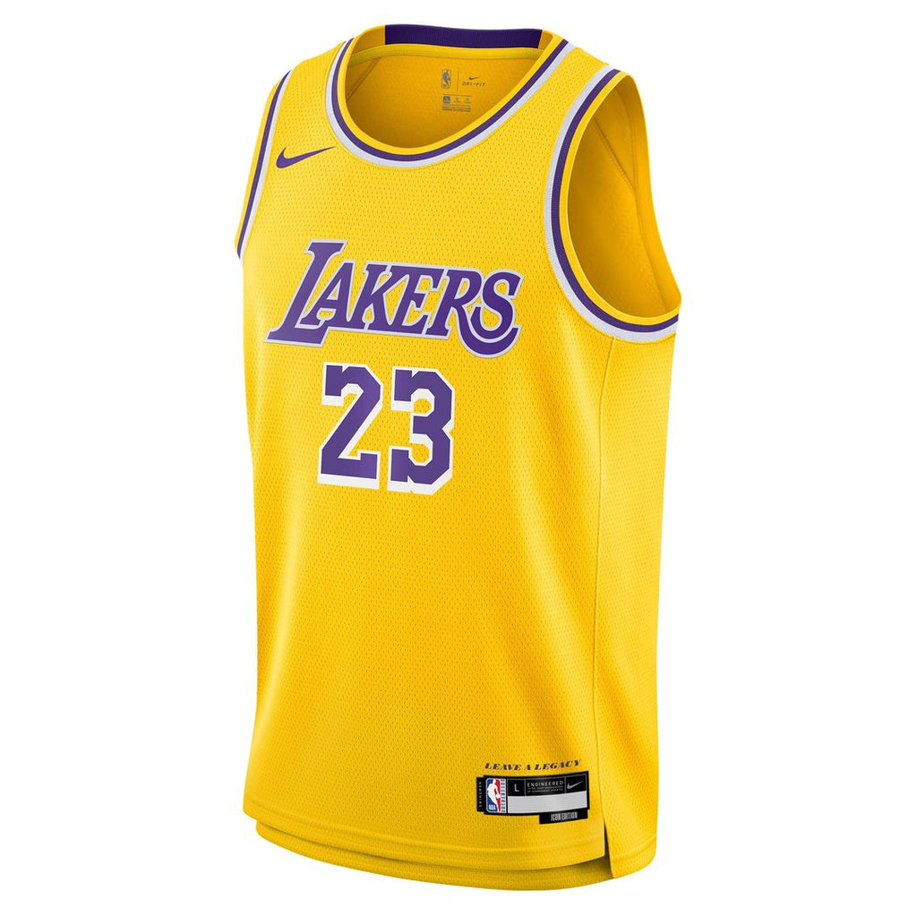 Los Angeles Lakers LeBron James Nike Youth Swingman Jersey product image 2