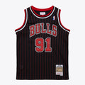 Chicago Bulls Dennis Rodman Youth 1995/96 Swingman Jersey product image 1