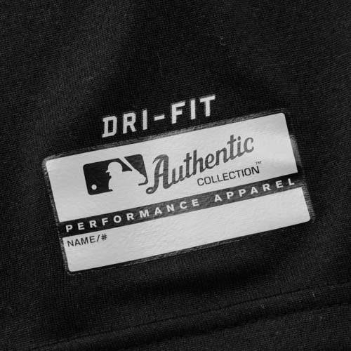 Chicago White Sox Legend Logo Dri-Fit T-Shirt By Nike for Men product image 2, provided for visual reference and product