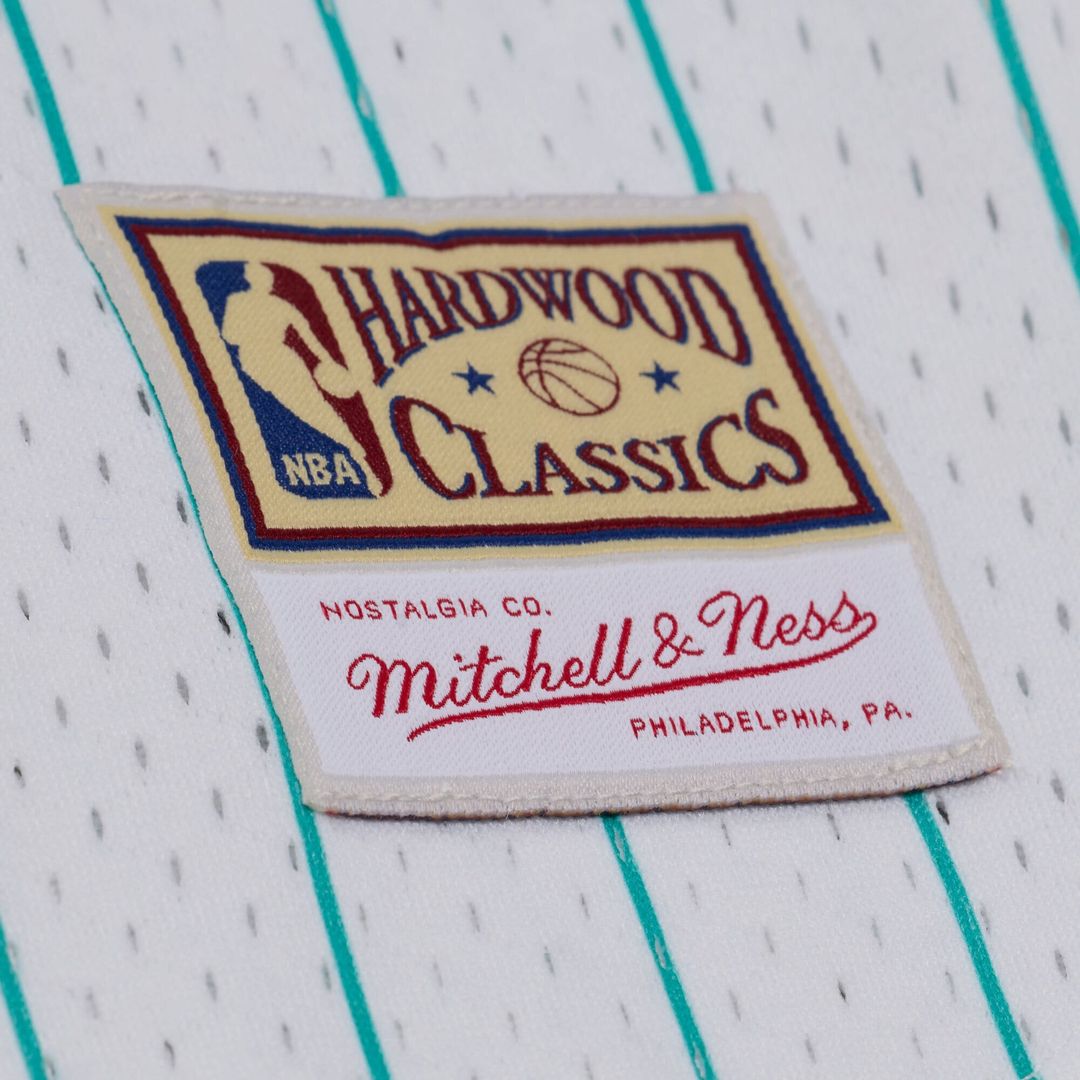 Memphis Grizzlies Mitchell & Ness Head Coach Pinstripe Mesh product image 3
