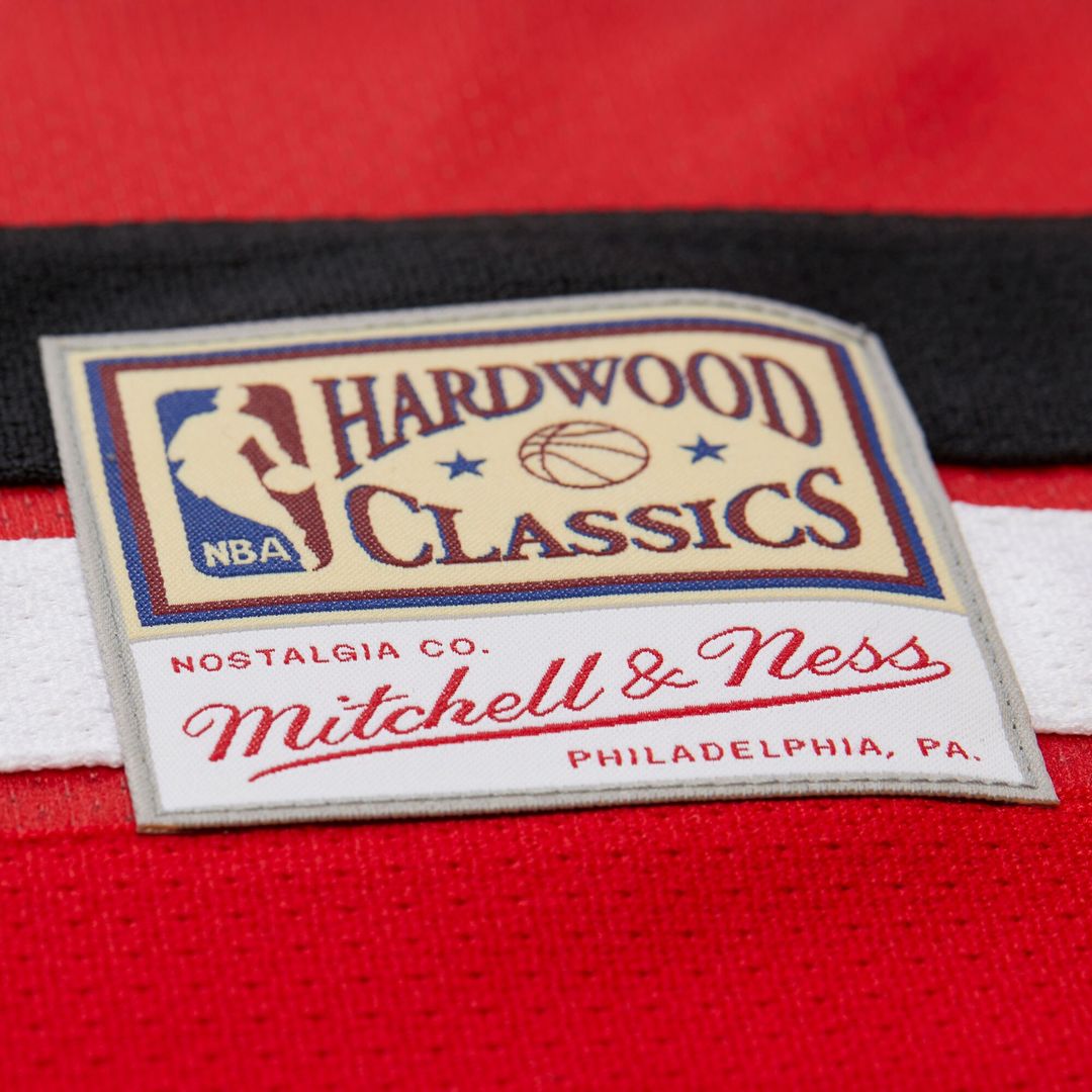 Atlanta Hawks Dikembe Mutombo Mitchell & Ness Unisex Maxxed product image 5