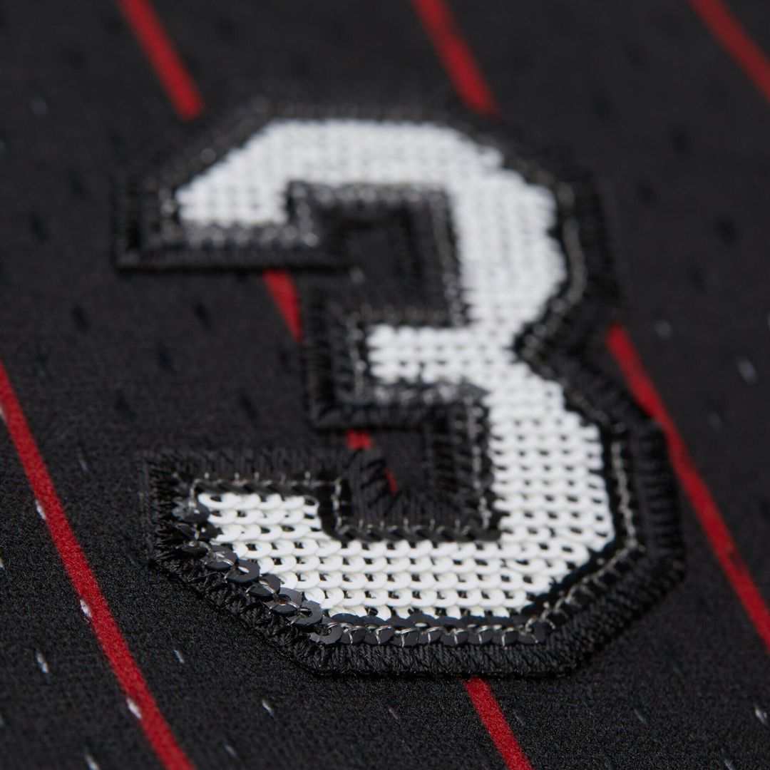 Miami Heat Dwyane Wade Mitchell & Ness x DANNIJO Women's product image 4