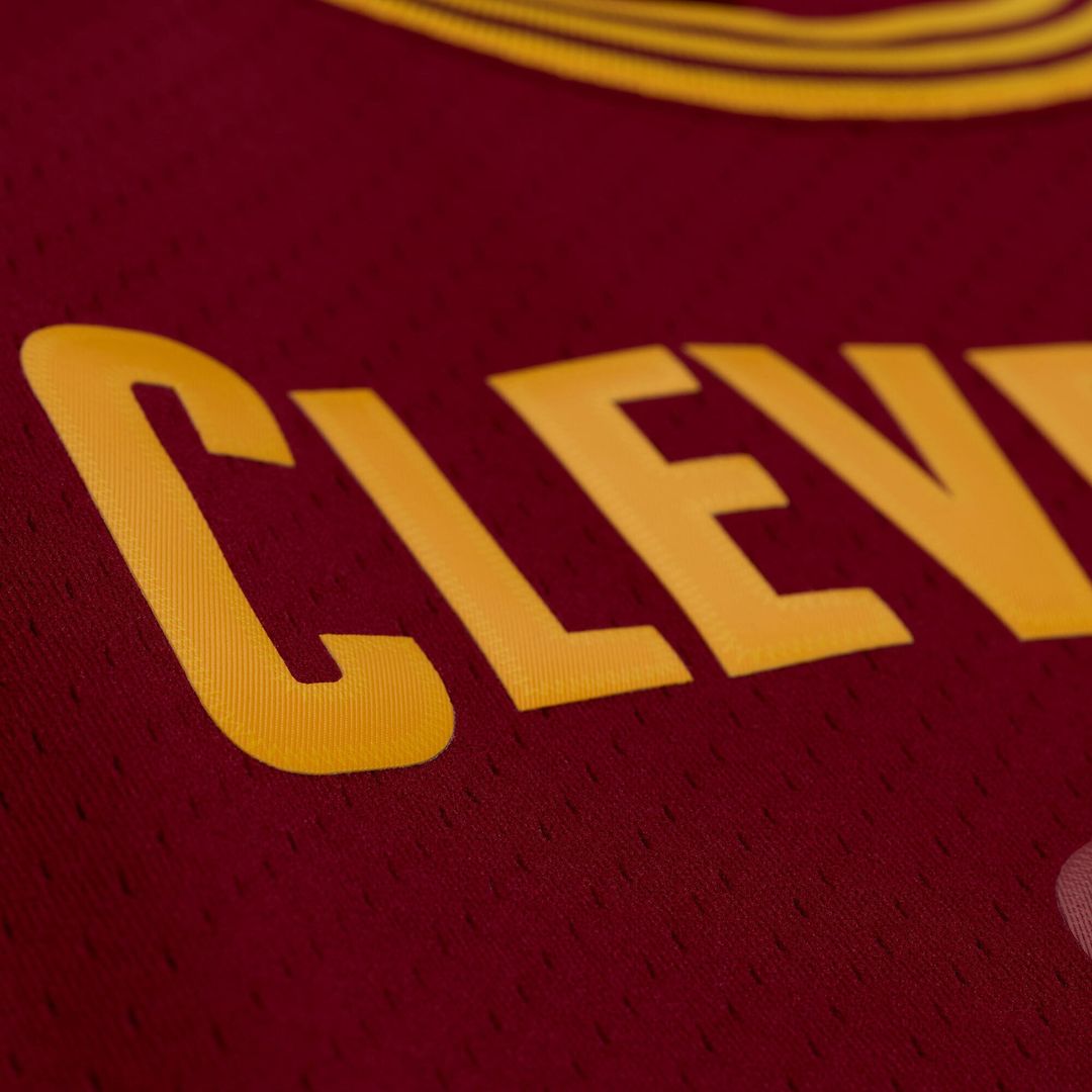 Cleveland Cavaliers LeBron James Mitchell & Ness 2015 - 16 product image 3