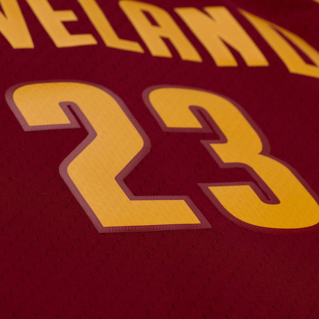 Cleveland Cavaliers LeBron James Mitchell & Ness 2015 - 16 product image 4