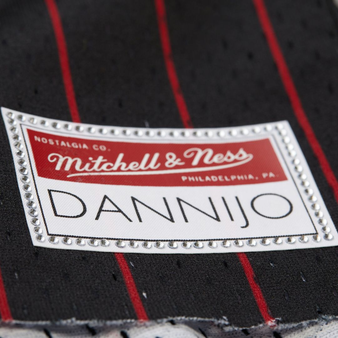Miami Heat Dwyane Wade Mitchell & Ness x DANNIJO Women's product image 6