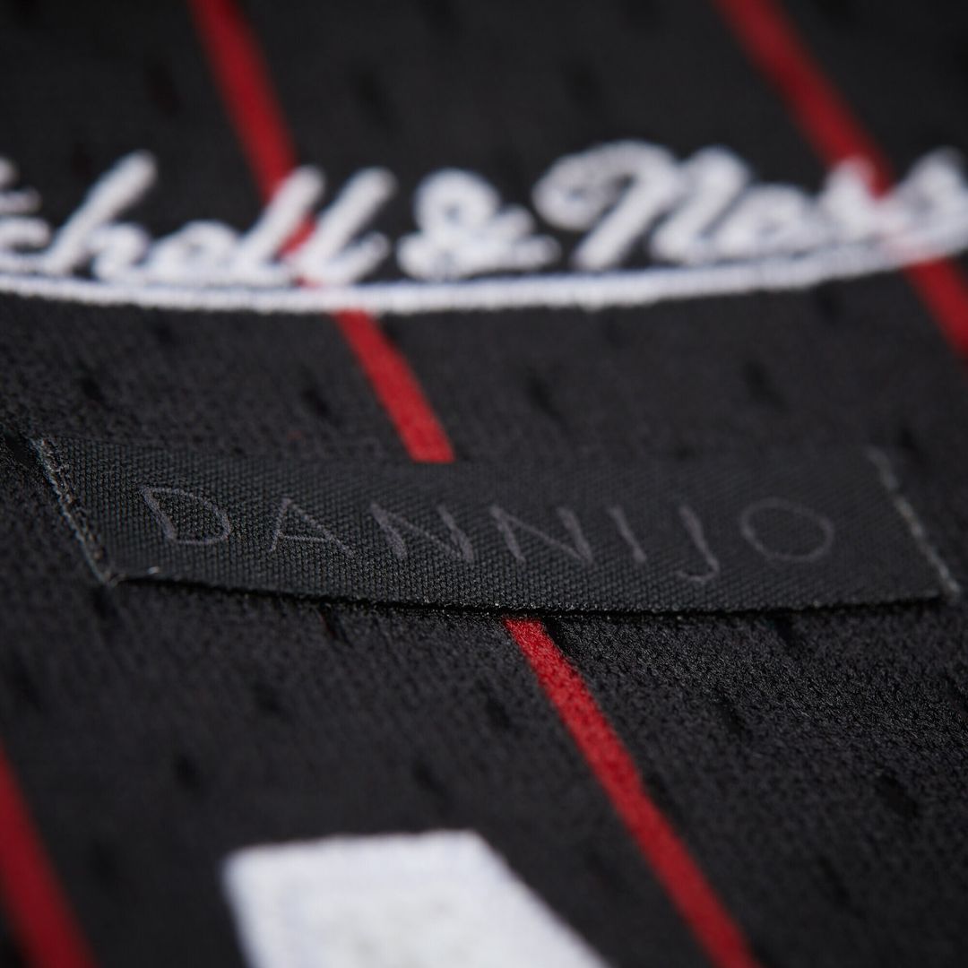 Miami Heat Dwyane Wade Mitchell & Ness x DANNIJO Women's product image 7