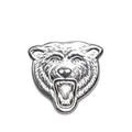 Chicago Bears LogoArt Tie Tac product image 1, provided for visual reference and product detail review