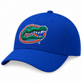 NCAA Florida Gators Adult Royal Swoosh Flex Hat By Nike product image 1, provided for visual reference and product detail