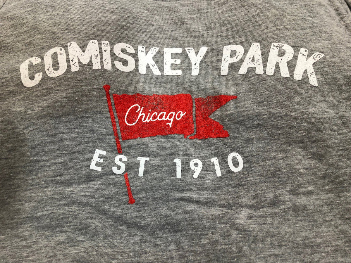 Comiskey Park Brushcraft Est. Flag Short Sleeve T-Shirt-Heather/Gray for Men product image 2, provided for visual reference