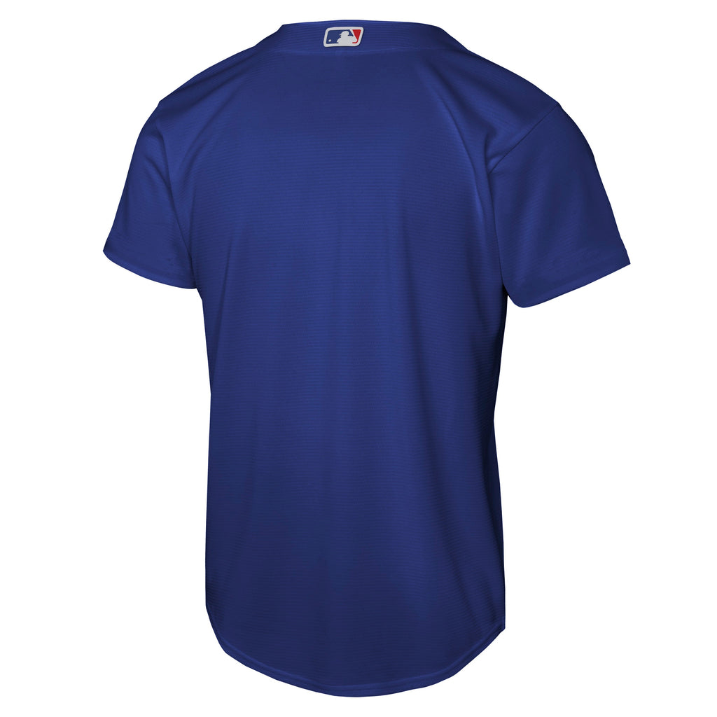 Youth Chicago Cubs Royal Blue Baseline Blank Nike Replica Jersey product image 3, provided for visual reference and product