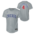 NIKE Youth Chicago Cubs Pete Crow-Armstrong Road Gray Baseline Replica Jersey product image 1, provided for visual reference