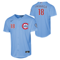Youth Chicago Cubs Shota Imanaga Alternate 2 NIKE Homerun Powder Blue Replica Jersey product image 1, provided for visual
