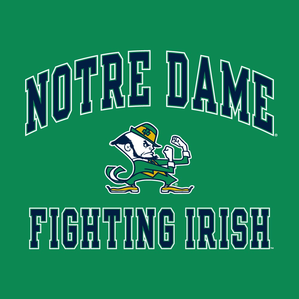 Notre Dame Fighting Irish Green Champion Powerblend Fleece Hoodie for Men product image 2, provided for visual reference and