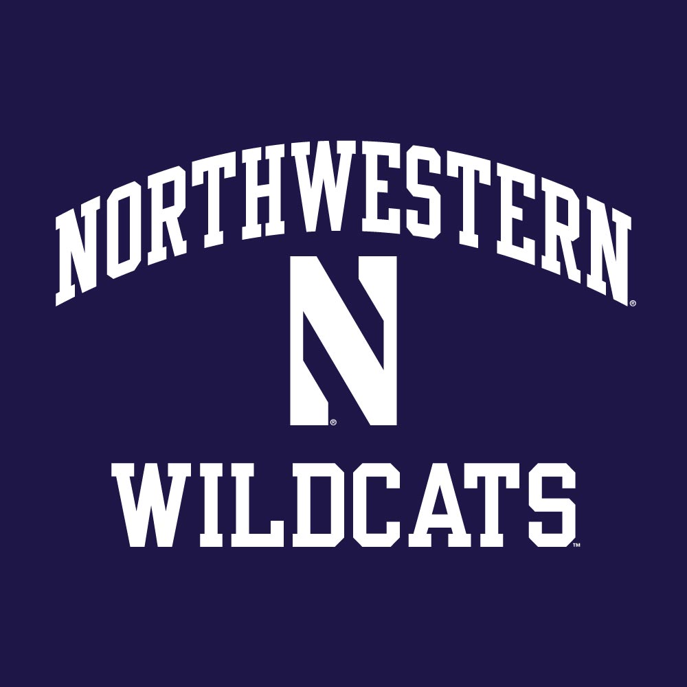 Northwestern Wildcats Purple Champion T-shirt for Men product image 2, provided for visual reference and product detail