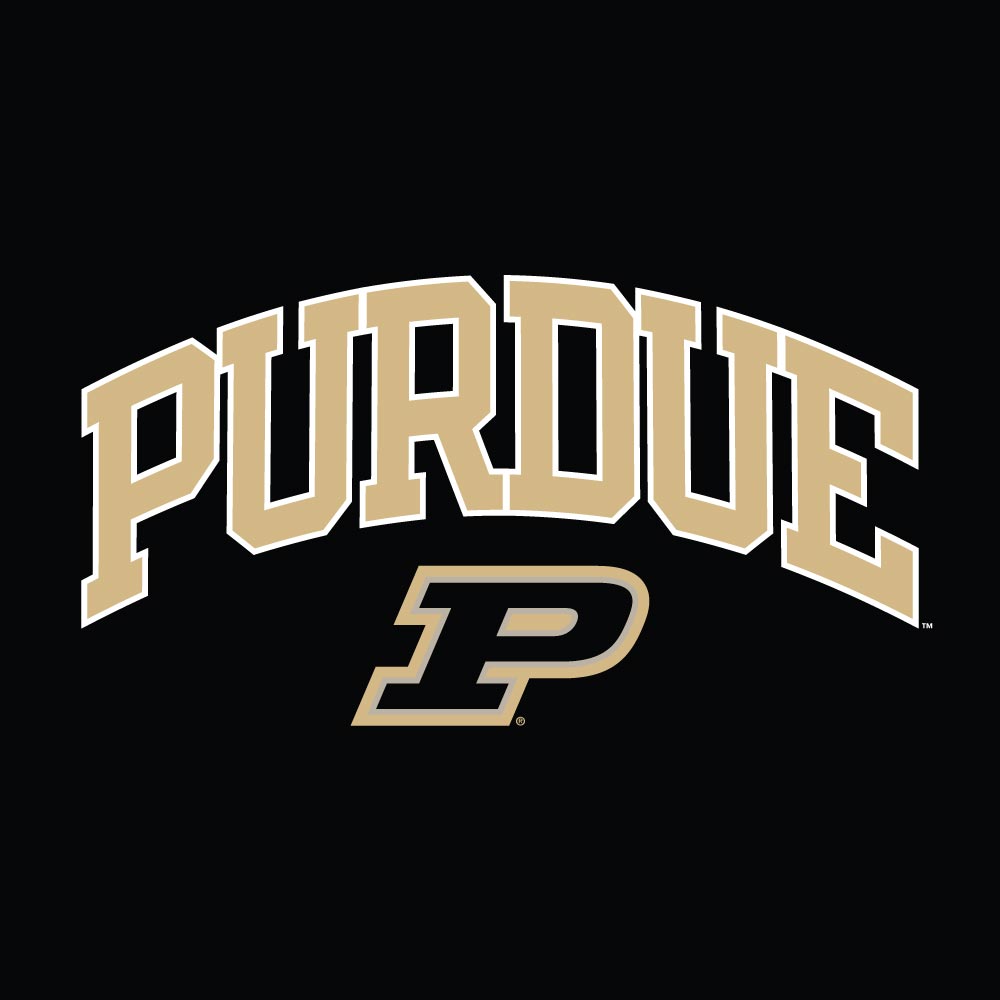 Purdue Boilermakers Black Champion Powerblend Fleece Hoodie for Men product image 2, provided for visual reference and