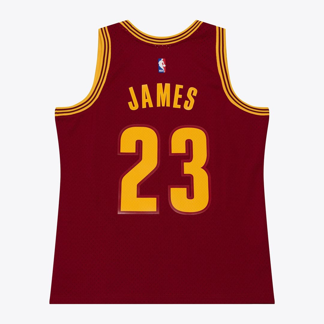Cleveland Cavaliers LeBron James Mitchell & Ness 2015 - 16 product image 2