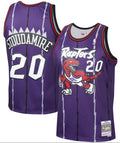 Damon Stoudamire Toronto Raptors Mitchell & Ness 1995-96 Hardwood Classics Swingman Jersey - Purple for Men product image 1,