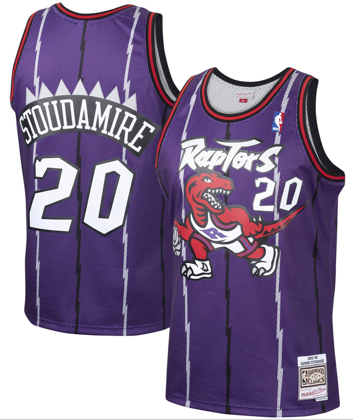 Damon Stoudamire Toronto Raptors Mitchell & Ness 1995-96 Hardwood Classics Swingman Jersey - Purple for Men product image 1,