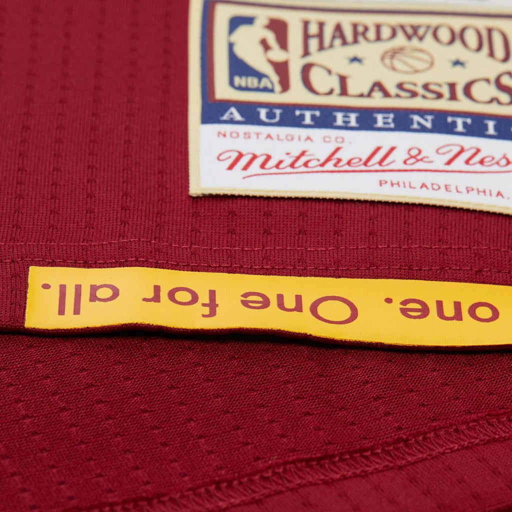 Cleveland Cavaliers LeBron James Mitchell & Ness Hardwood product image 7