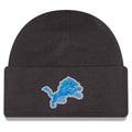 Detroit Lions 2026 New Era Official Sideline Gray Skully Knit Hat product image 1, provided for visual reference and product